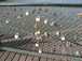  encore des cadenas, pont des arts
